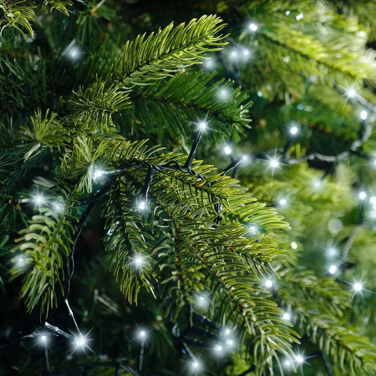 LUCI da  1000 LED BIANCO FREDDO 22,5 m 3