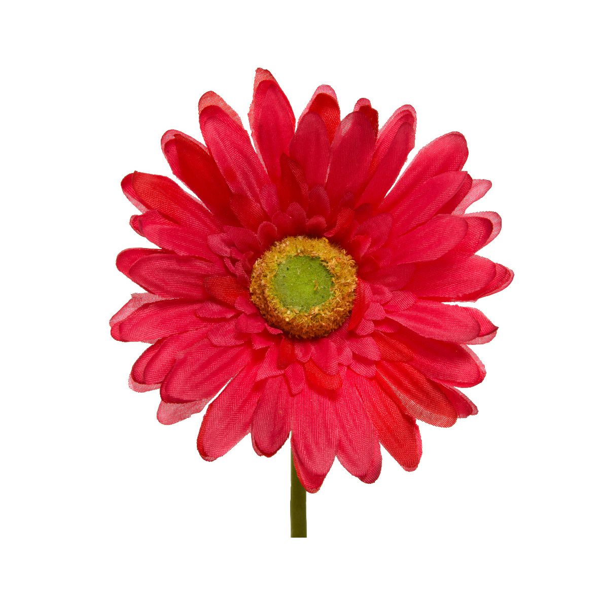 Gerbera 50 cm 5