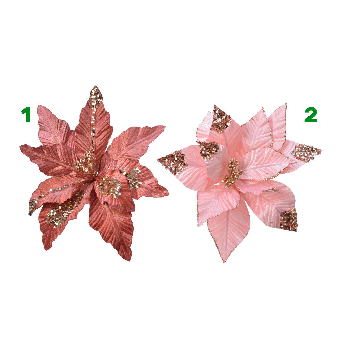 Poinsetta stella rossa