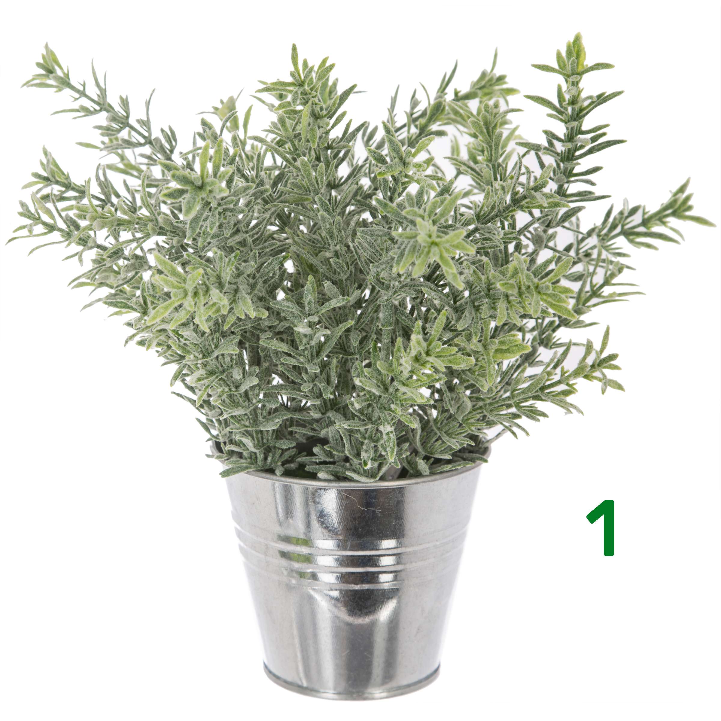 Pianta con vaso a secchiello