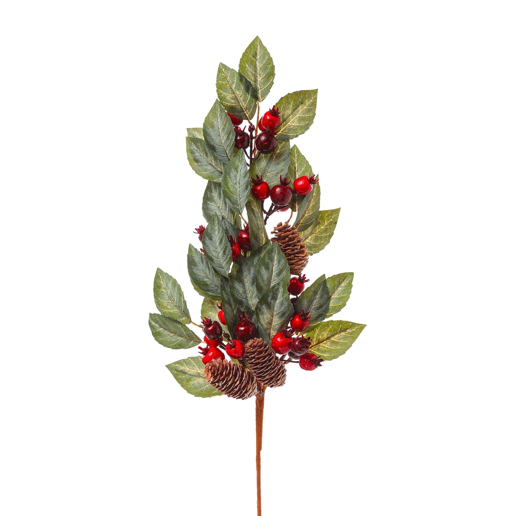 Tralcio bacche natalizio
