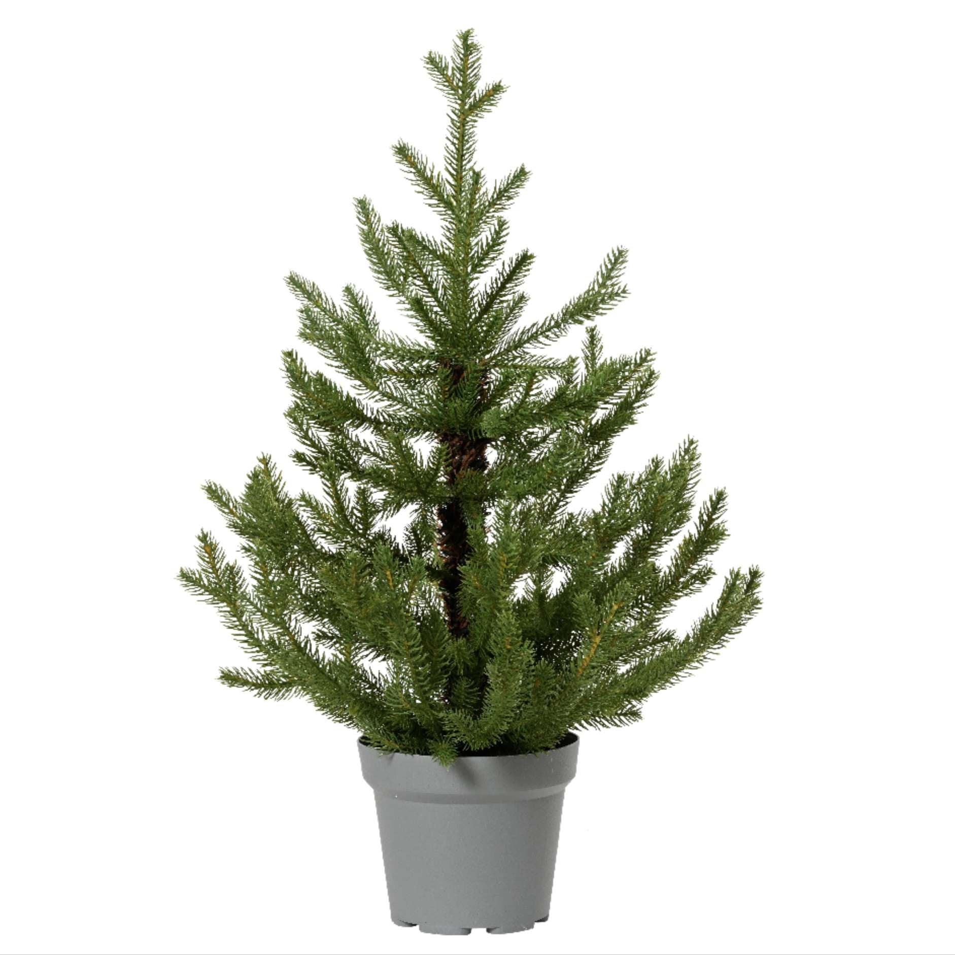 Norway mini albero di natale verde