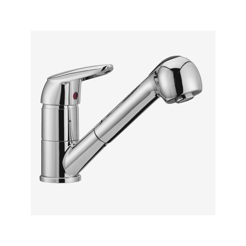 Miscelatore Lavello cucina con doccia Estraibile