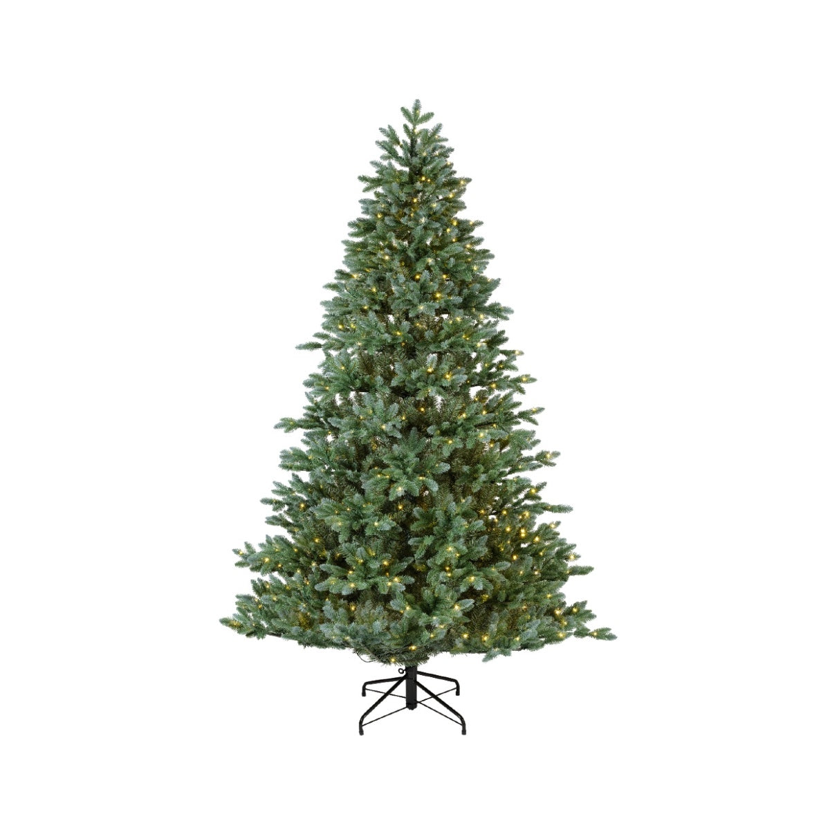 Albero Trondheim verde