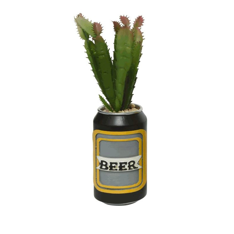 Pianta grassa Beer nero