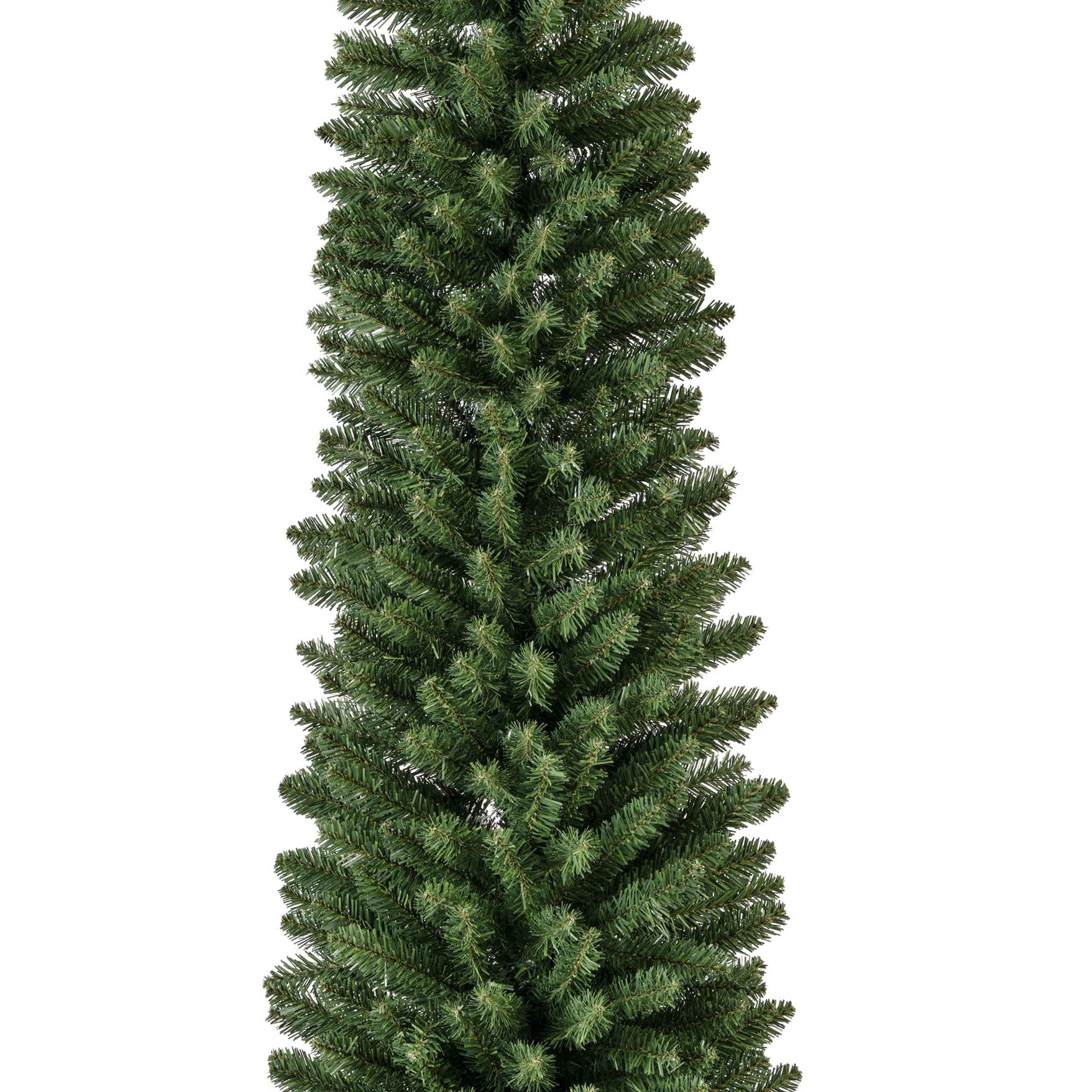 Albero Pencil Pine Verde 5