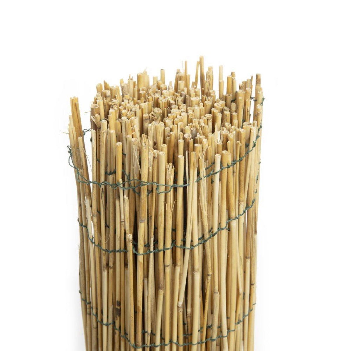 Arella Simple in Bamboo 3