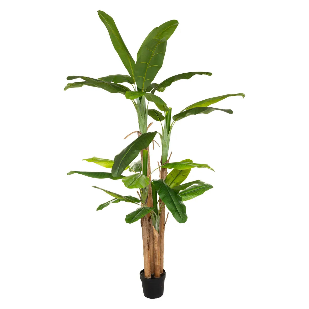 Pianta artificiale gigante ‚Äì Banano H285 cm con vaso