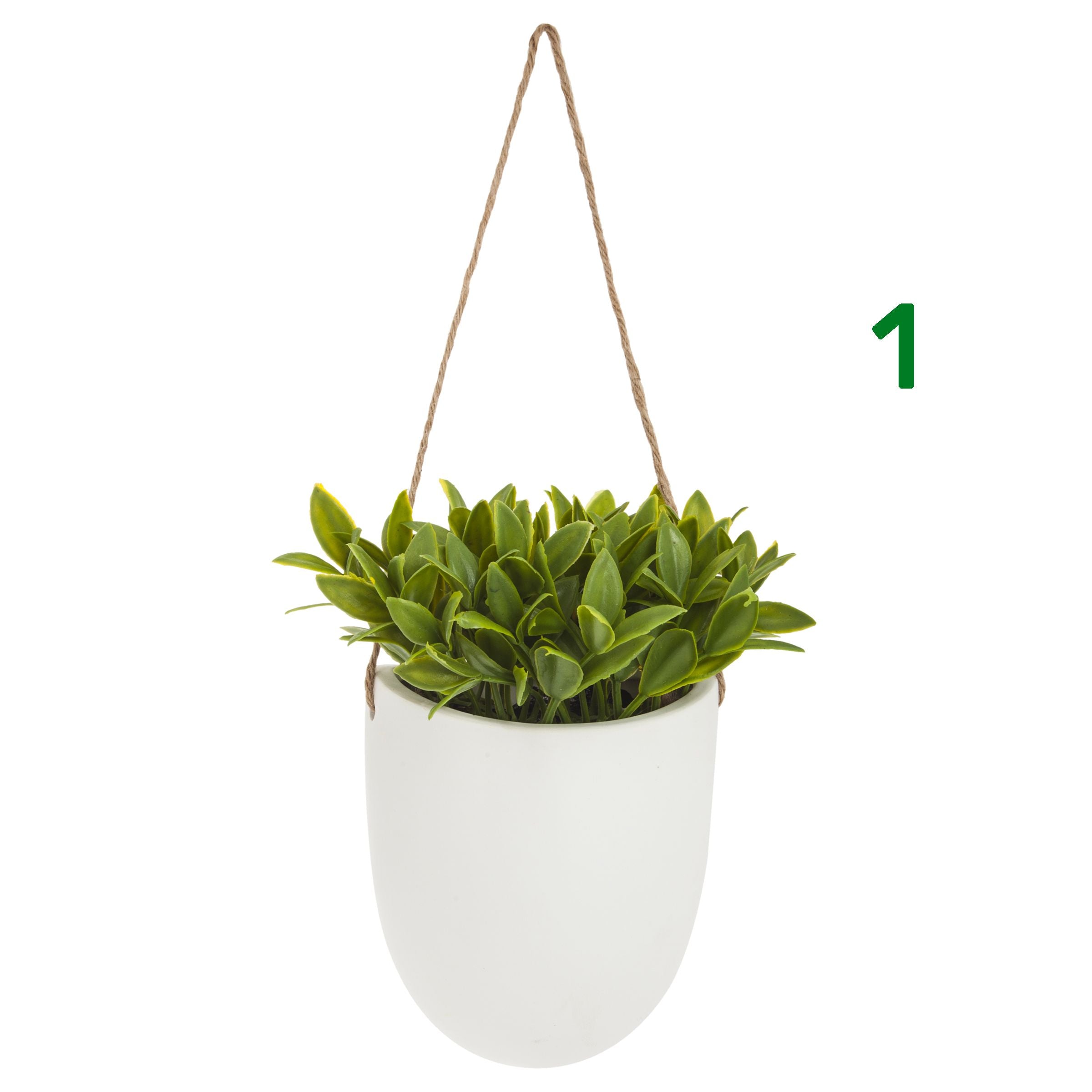 Piantina con vaso sospeso