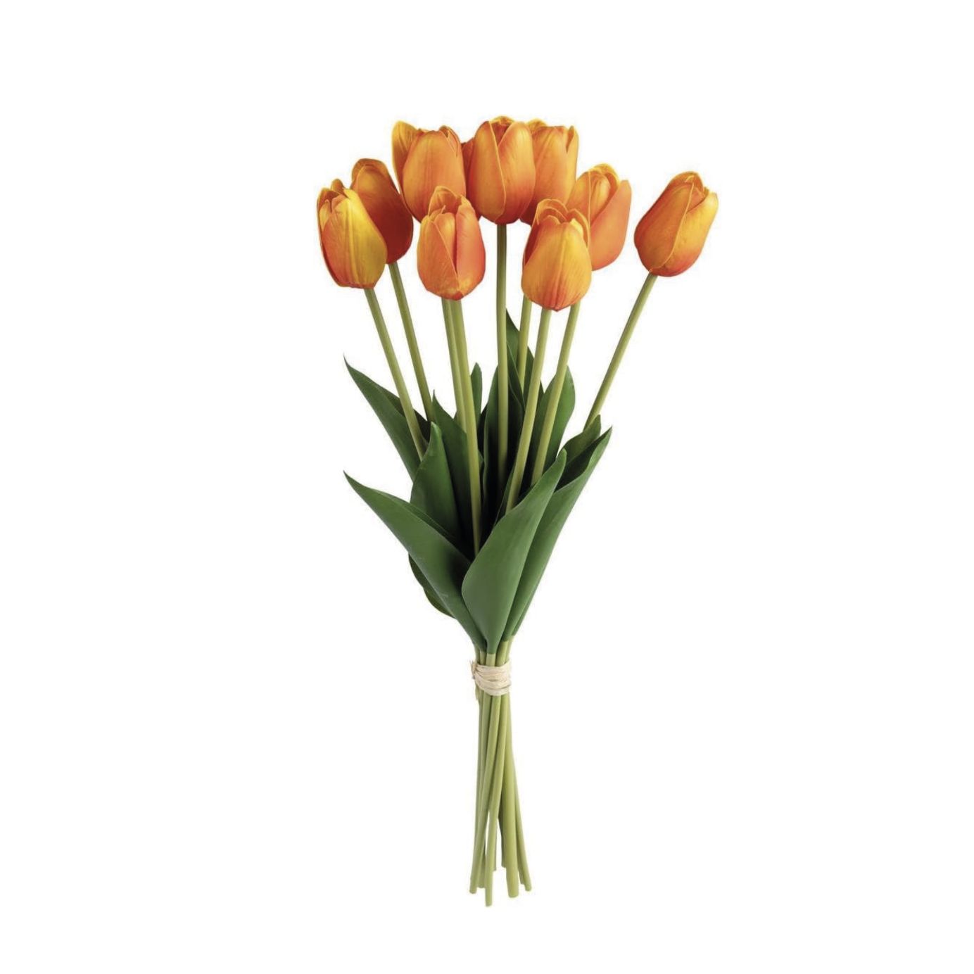 Bouquet 10 tulipani 48 cm