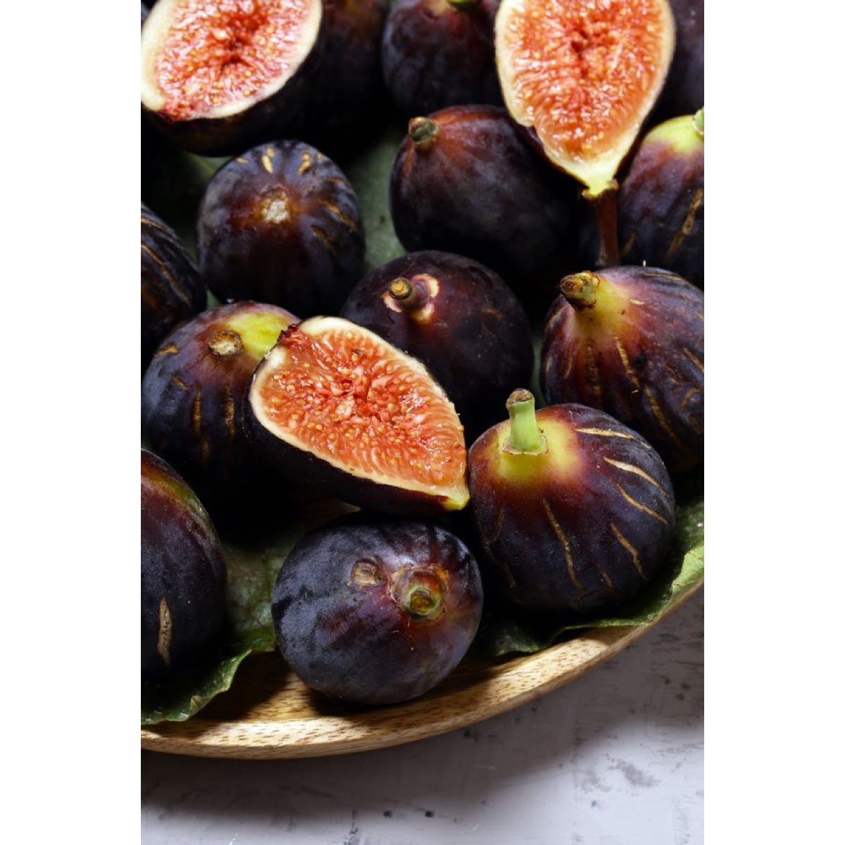 Pianta di Fico Terlizzi in Vaso