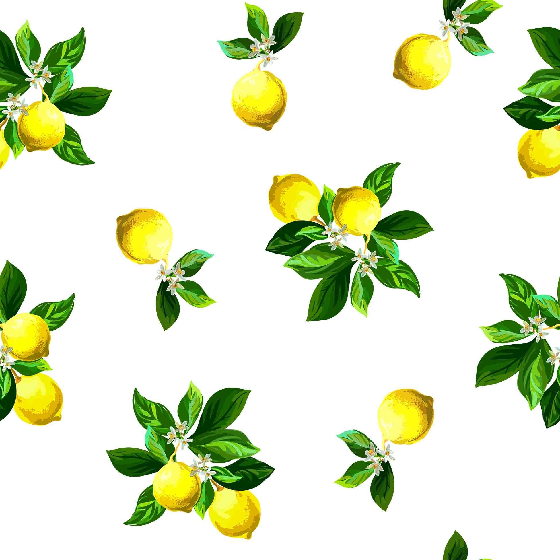 Tovaglia in PVC trasparente Citronello