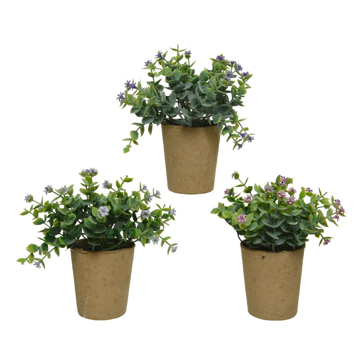 Fiori in vaso 8x8x15 cm