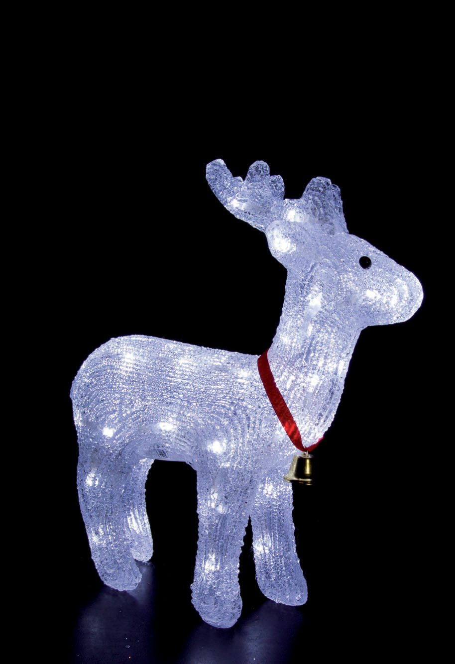 Renna in piedi luminosa