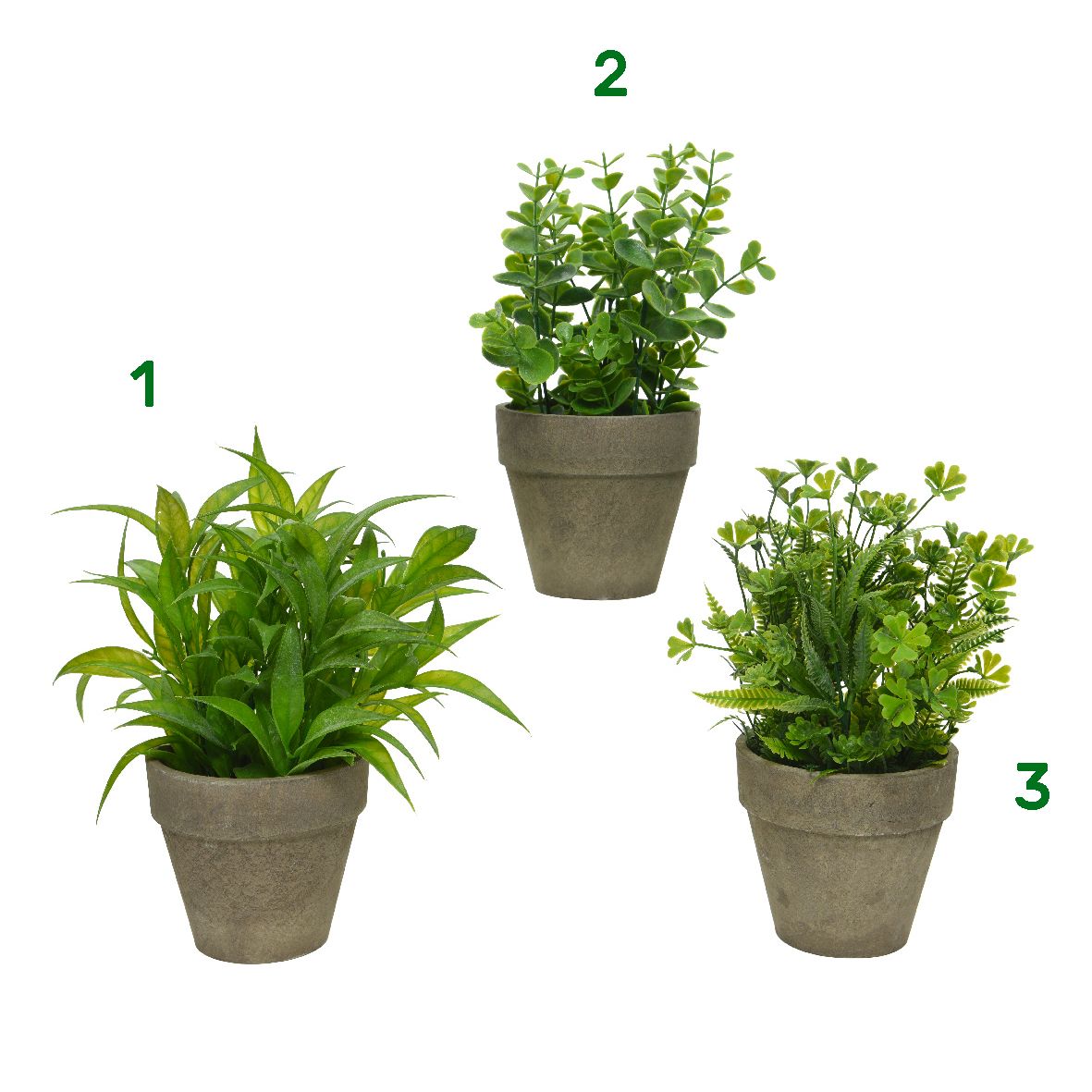 Pianta verde 20x25 cm