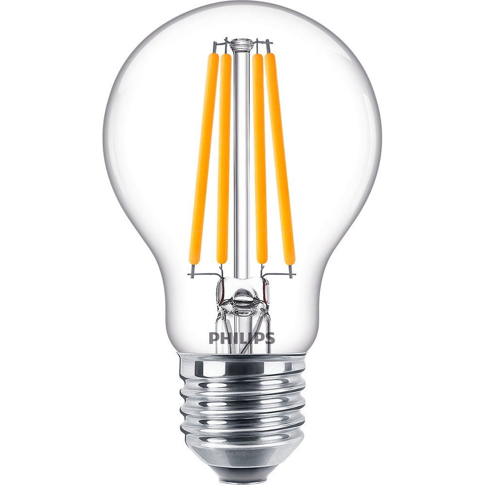 Lampadina LED Philips 100W E27