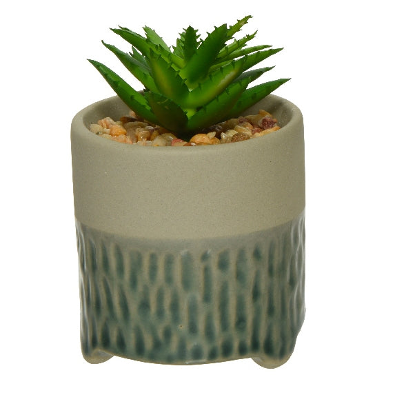 Succulenta in vaso fantasia 1