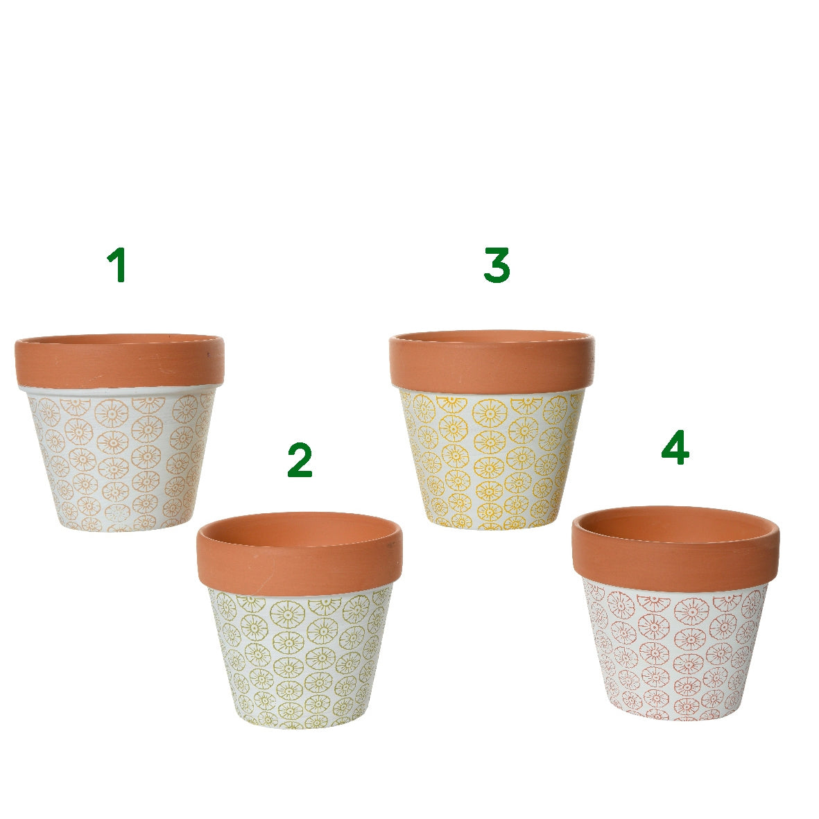 Citronella in vaso 11,5x11 cm