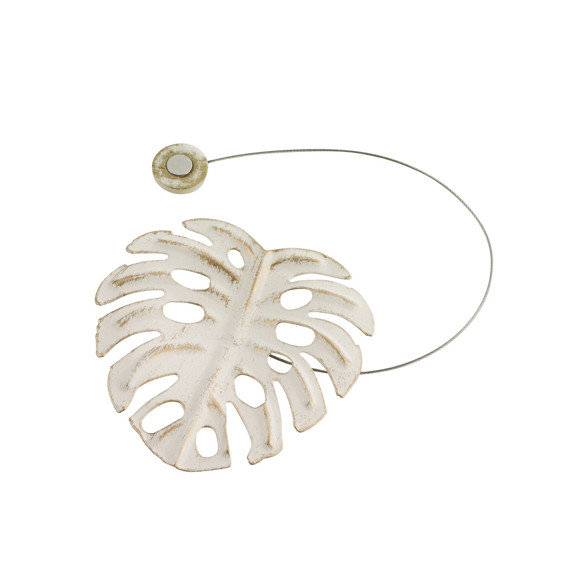 Calamita fermatenda palmera