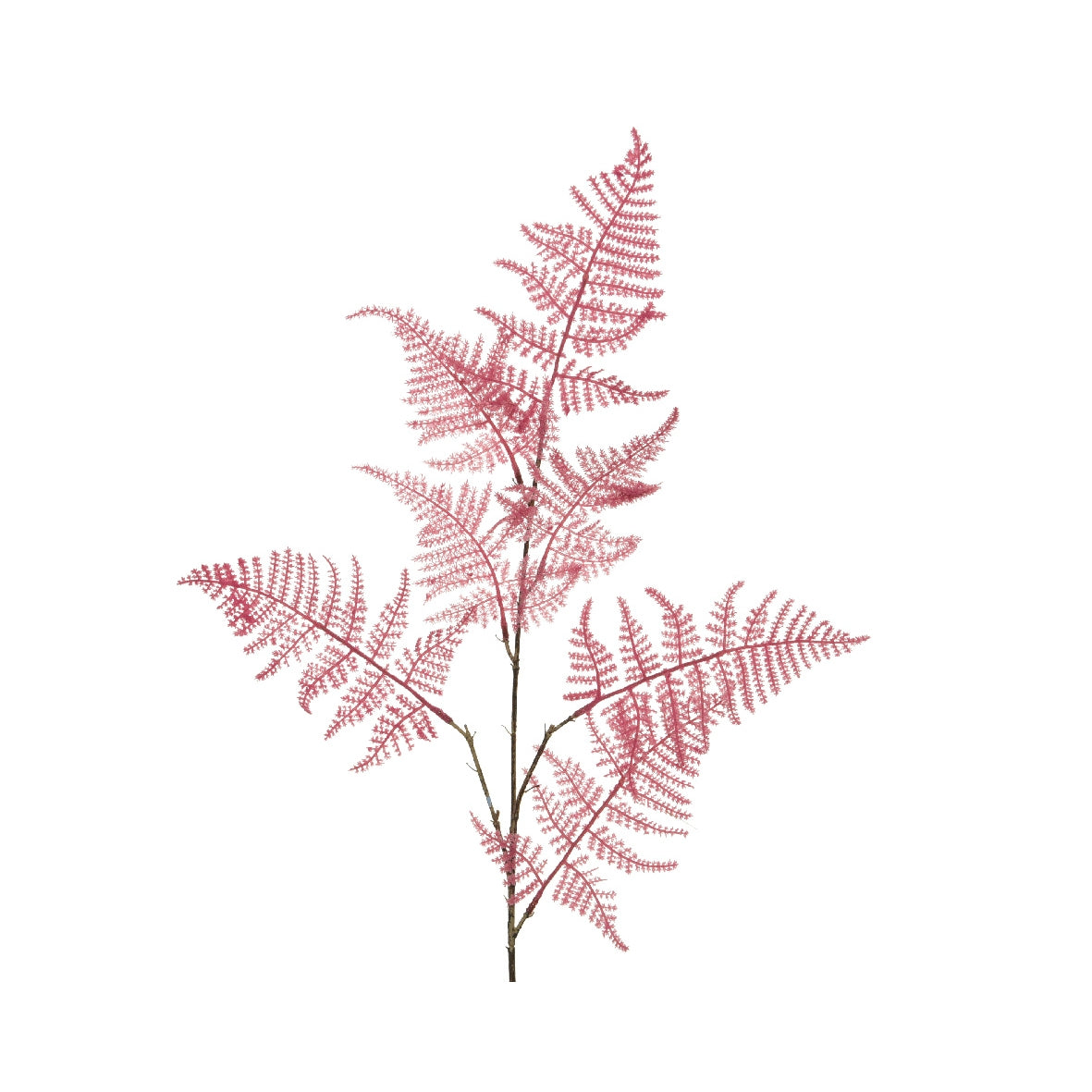 Fiore natalizio felce Kaemingk rosso