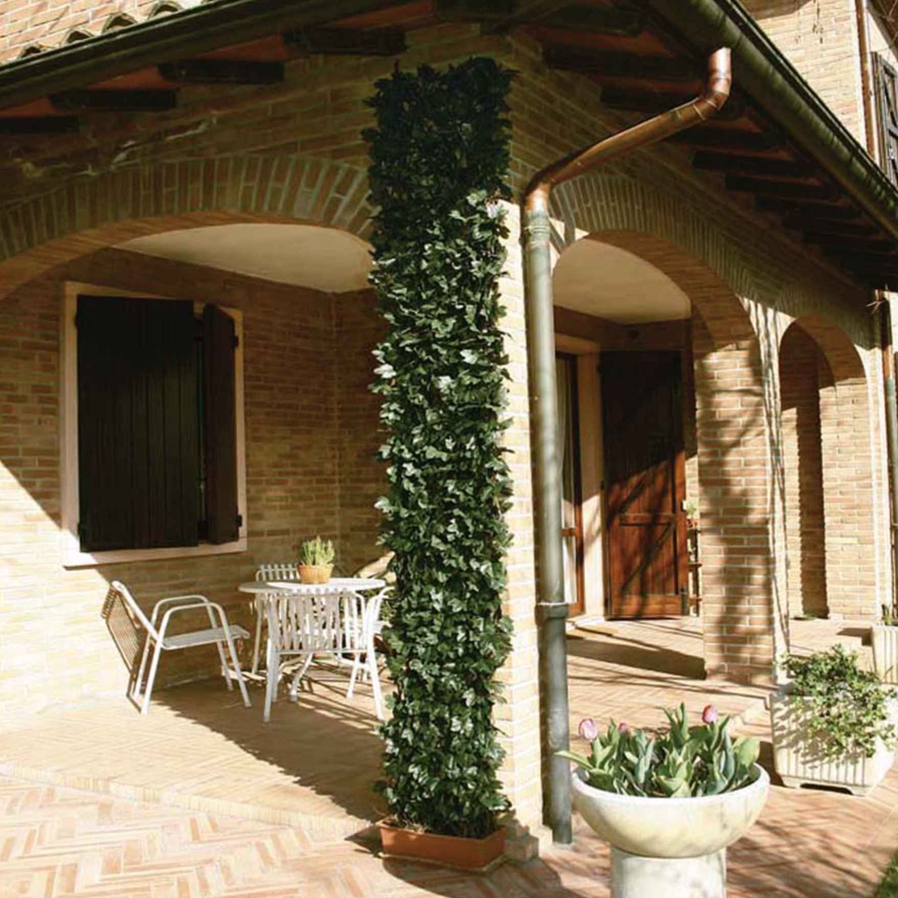 Traliccio con edera 1x2 mt