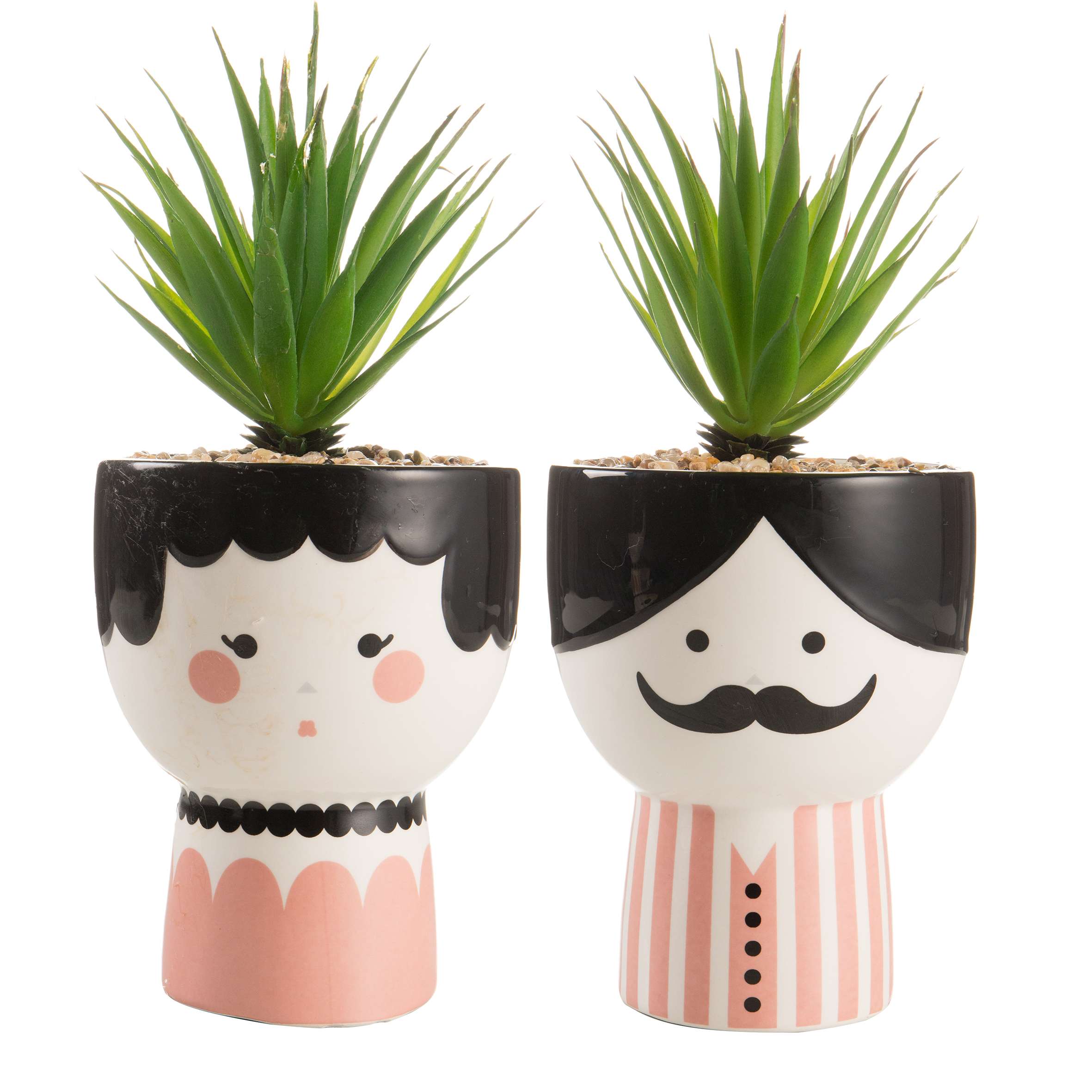 Vaso con piantina testa