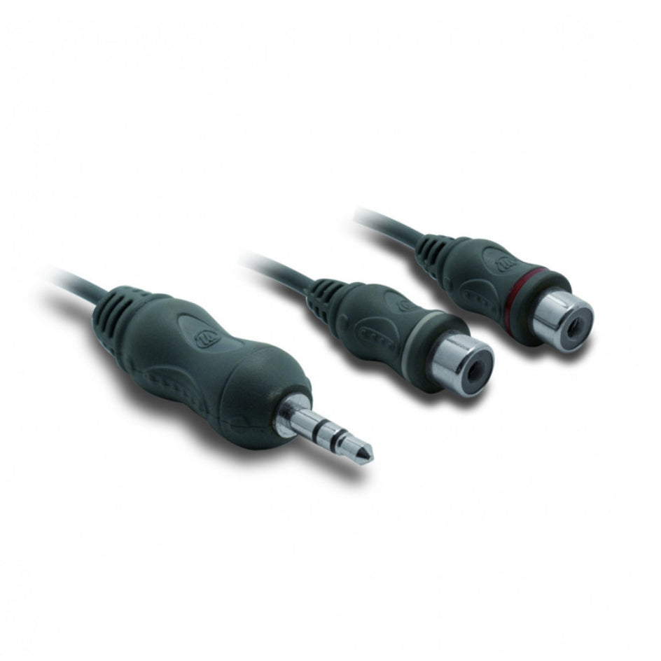 Prolunga Jack 2RCA