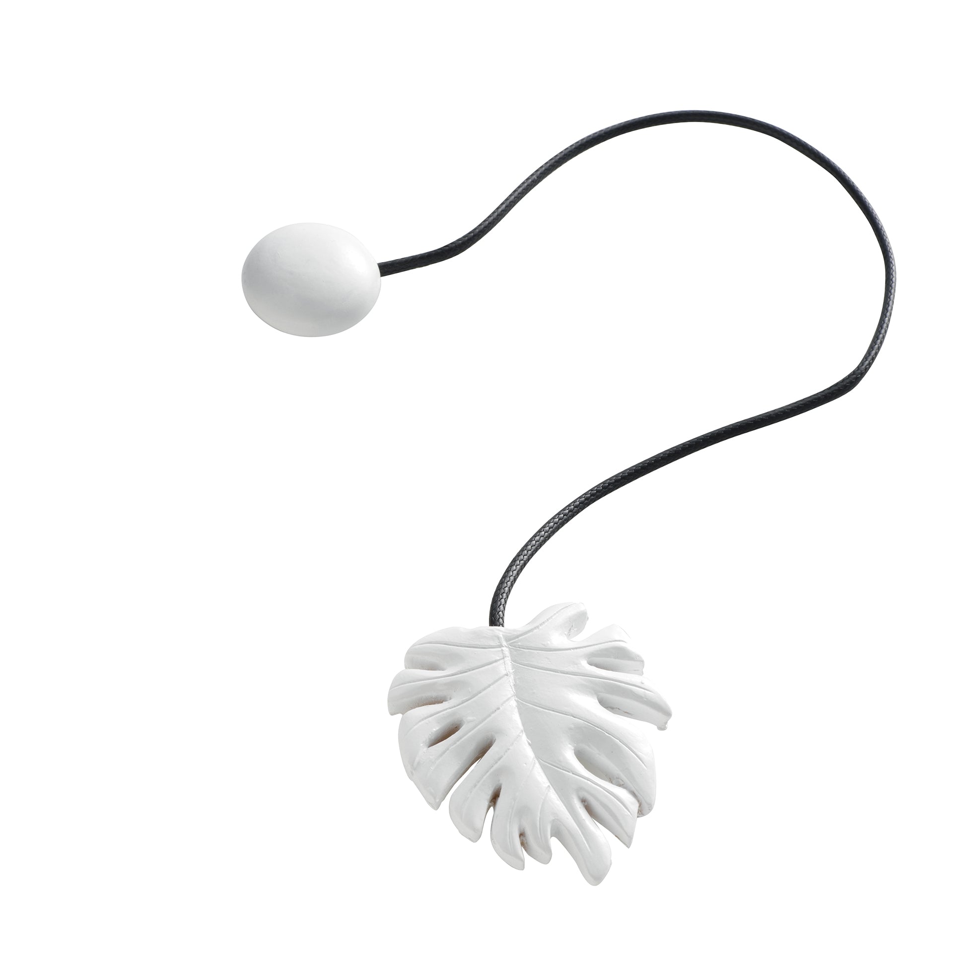 Calamita fermatenda fossilia