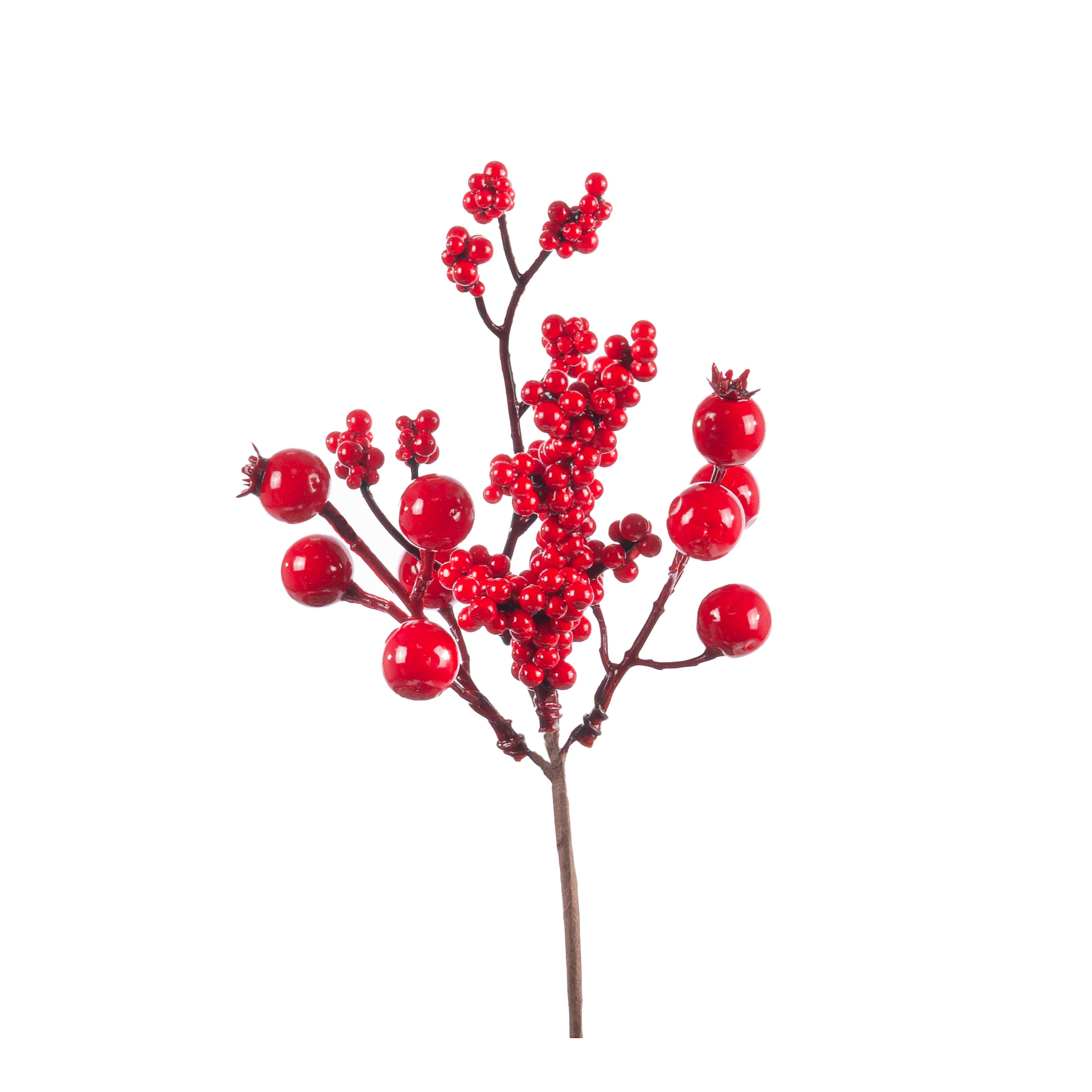 Pick bacche natalizie rosse