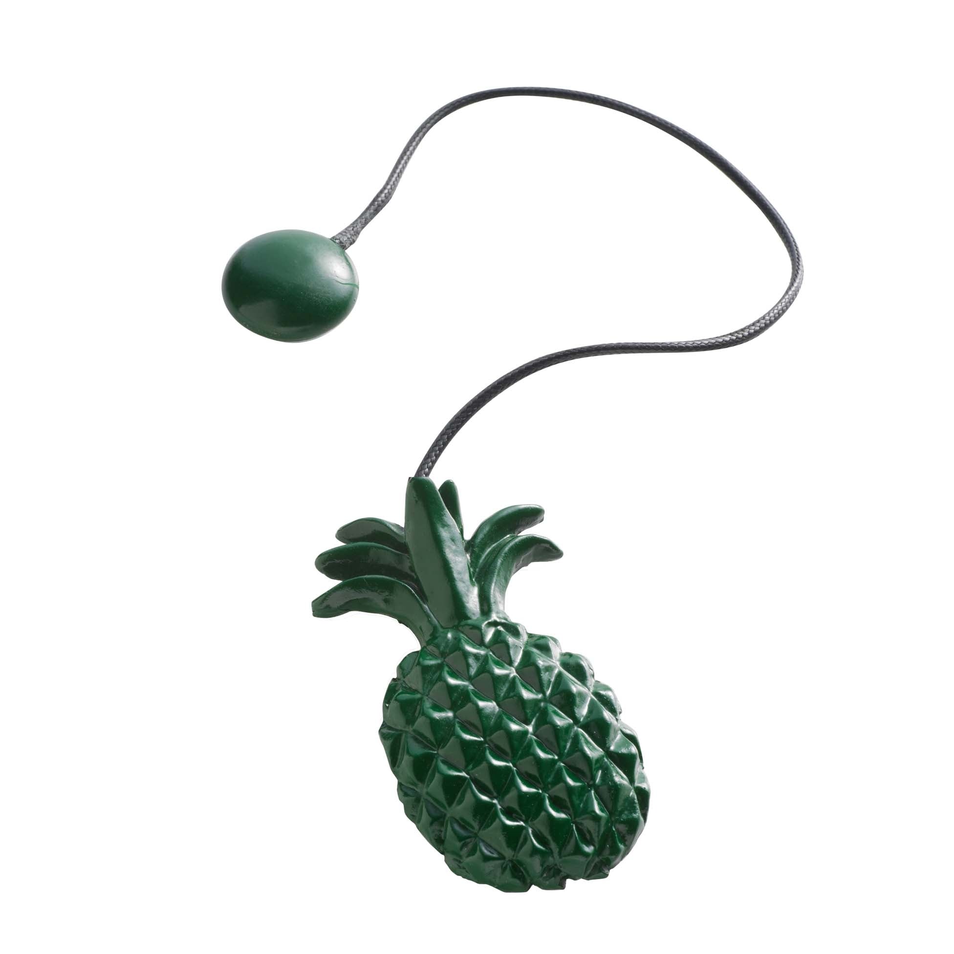 Calamita fermatenda Lewis 3