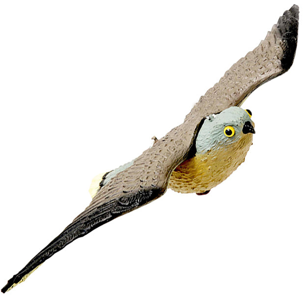 Falco dissuasore per volatili