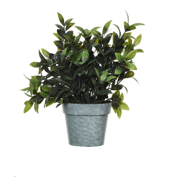 Pianta in vaso fantasia 4