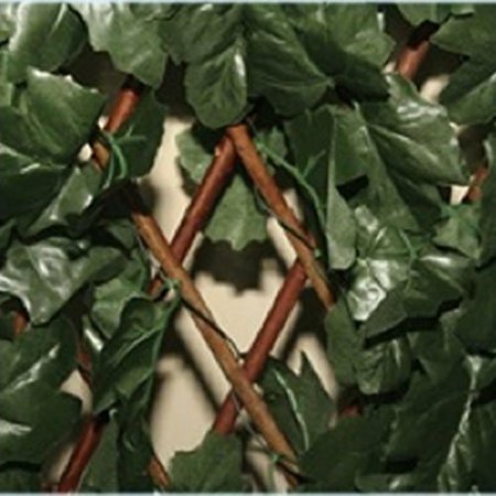 SIEPE ALLORO 100X200 CM