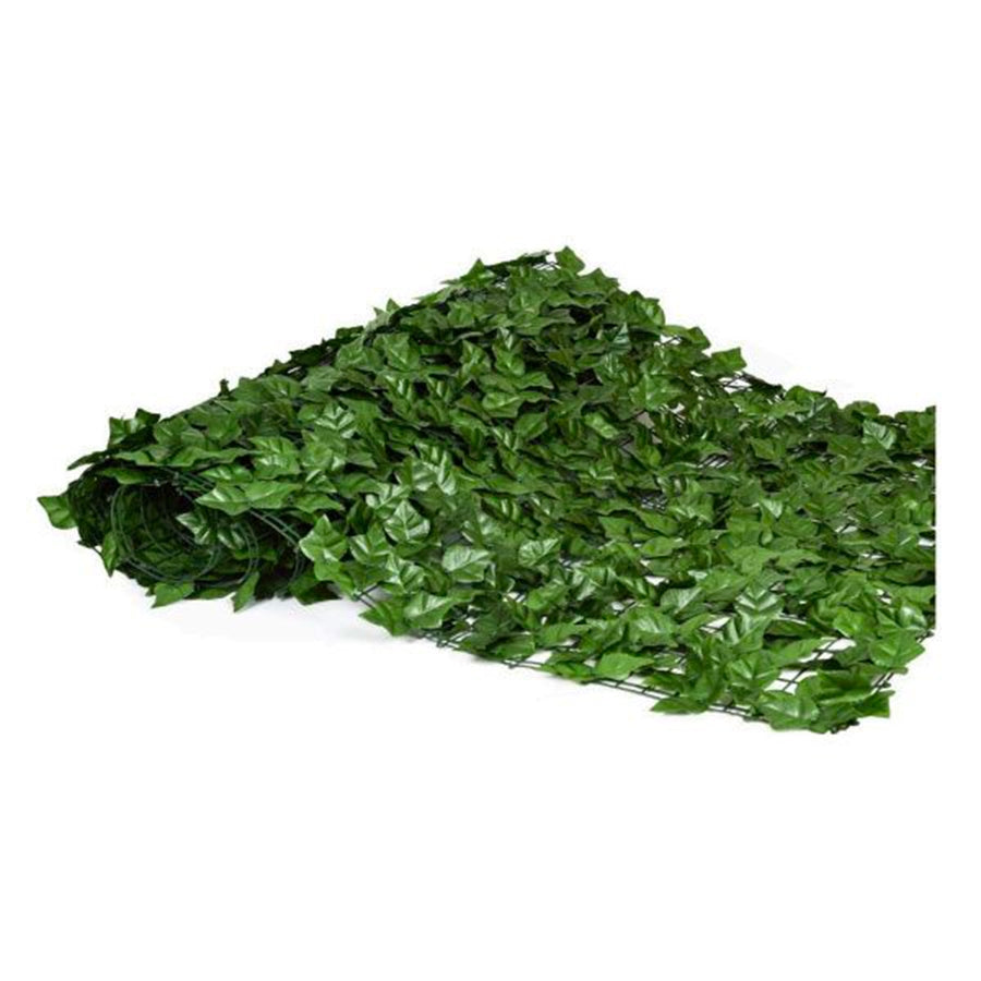 Siepe sempreverde 3x1 m