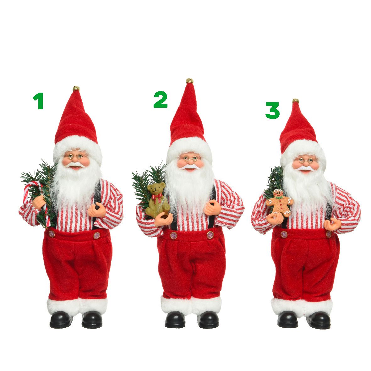 Babbo natale con pianta