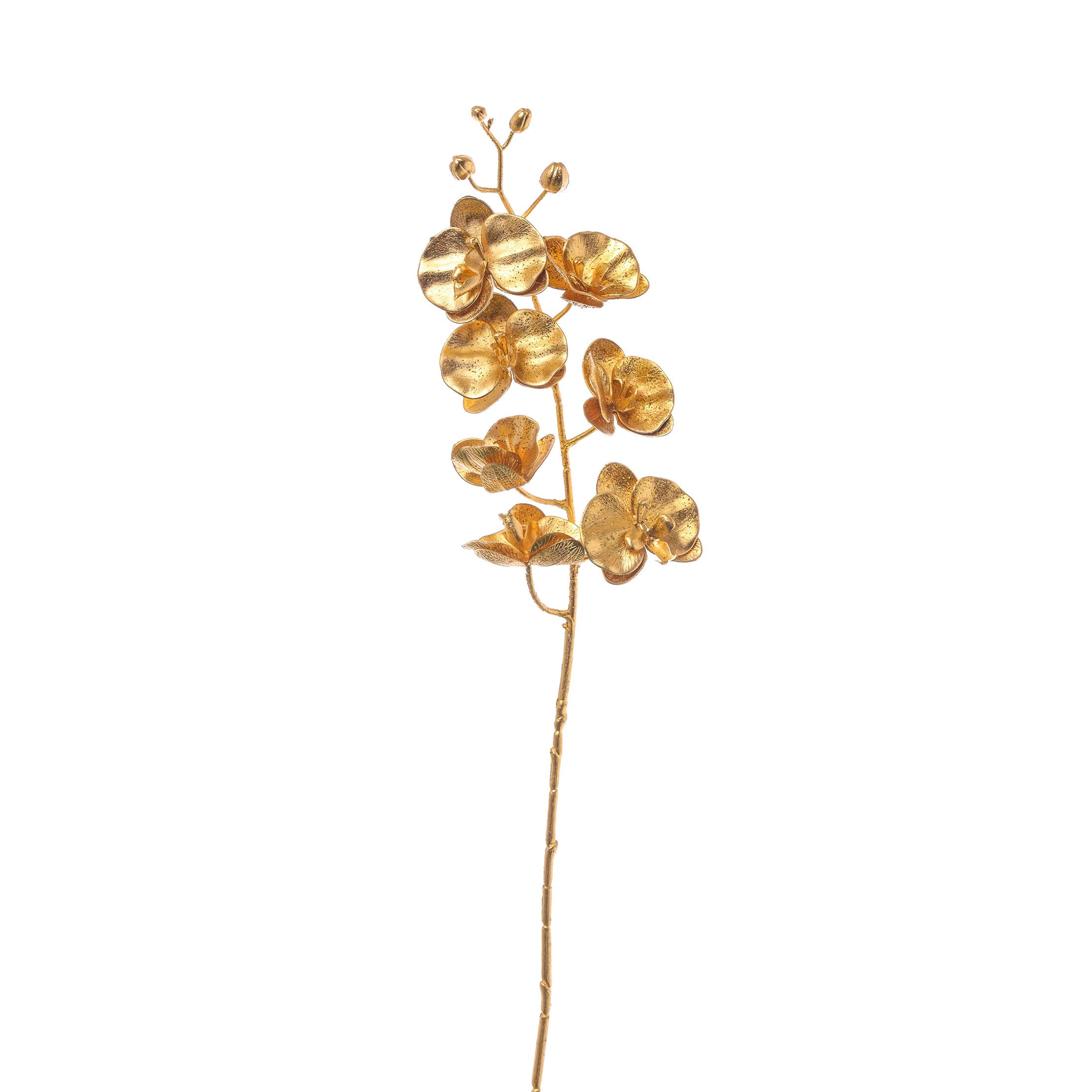 Phalenopsis Gold 76 cm