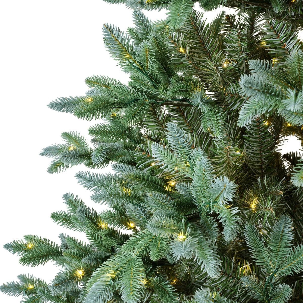 Albero Trondheim verde