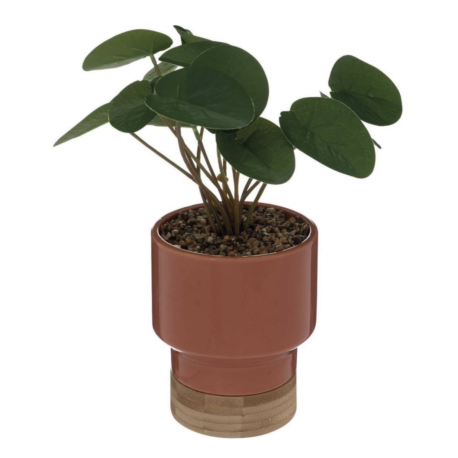 Pianta artificiale "the collector" in ceramica e bamb√π h 26 cm