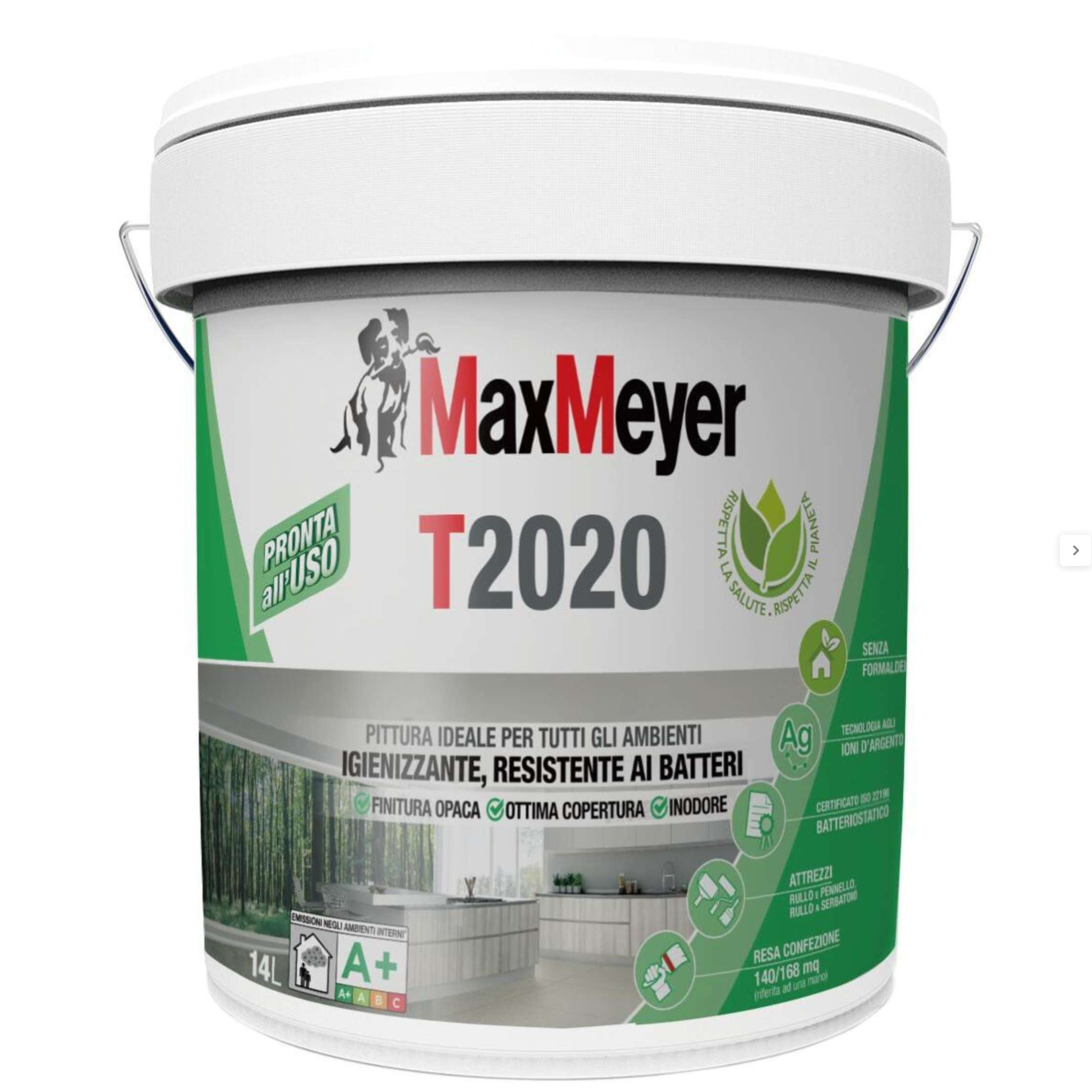 Pittura igienizzante T2020