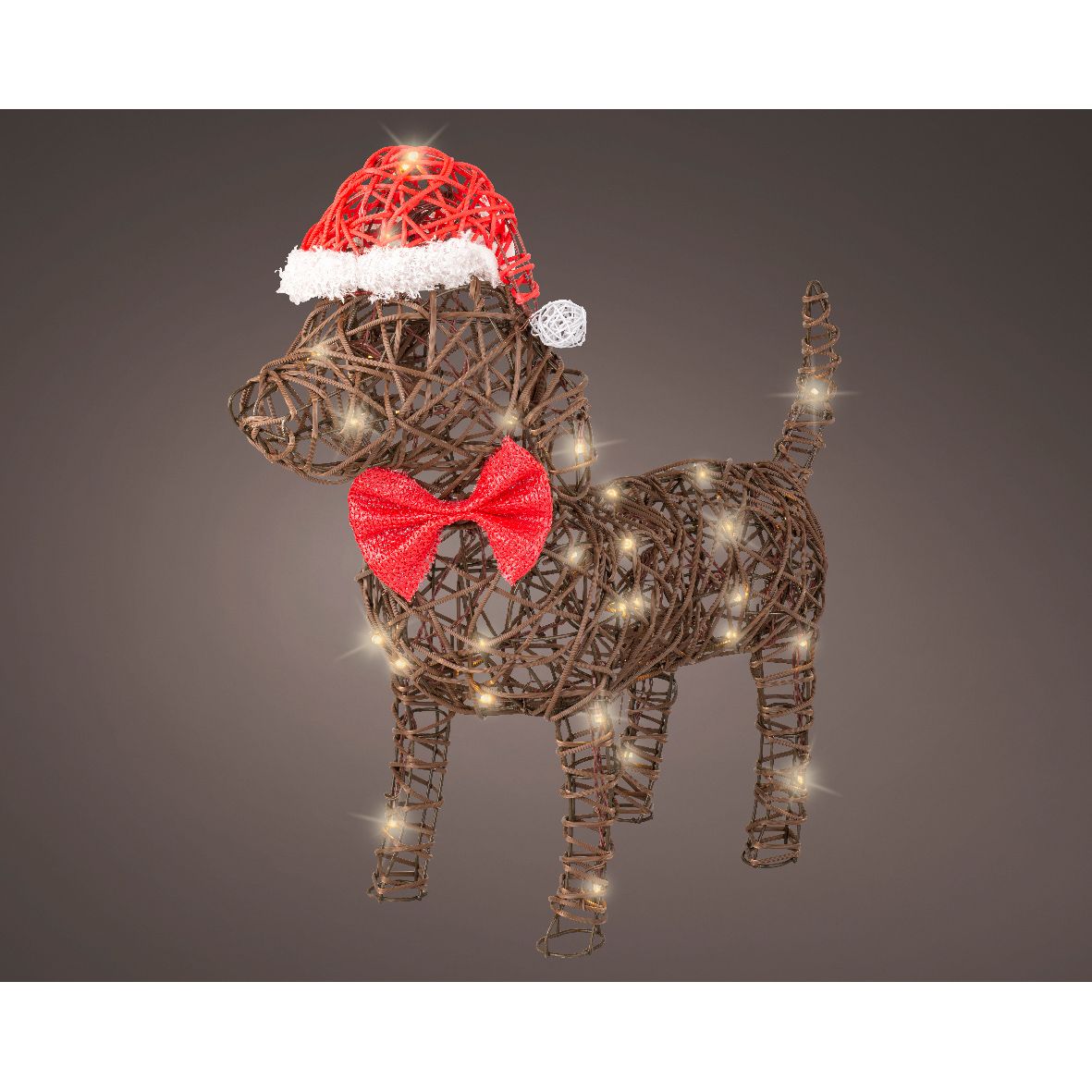 Cane luminoso esterno marrone