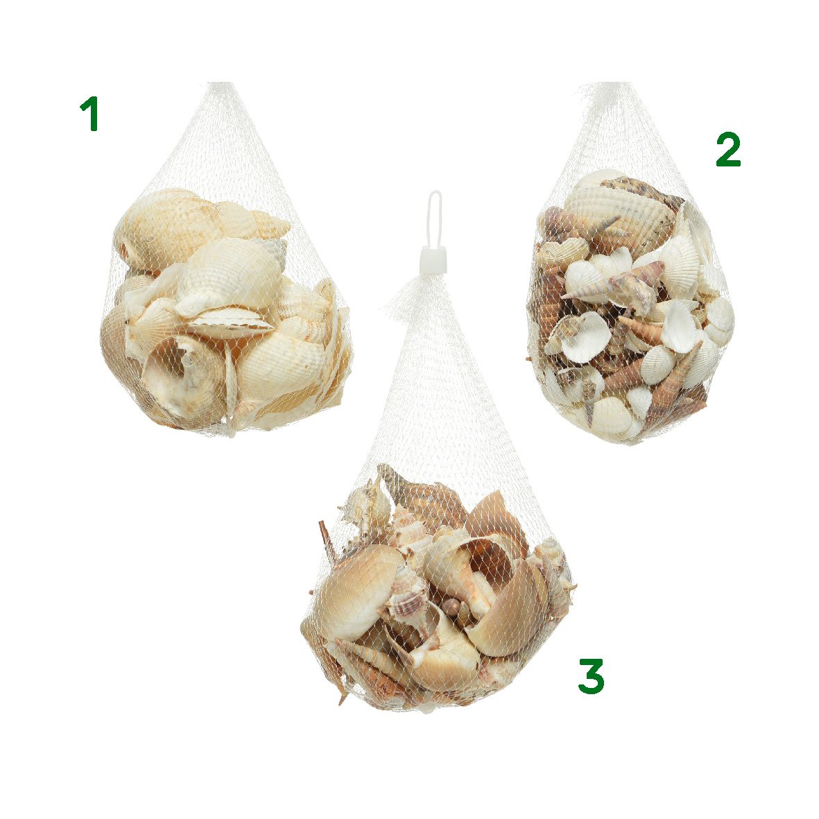 Conchiglie decorative 14x14x8 cm