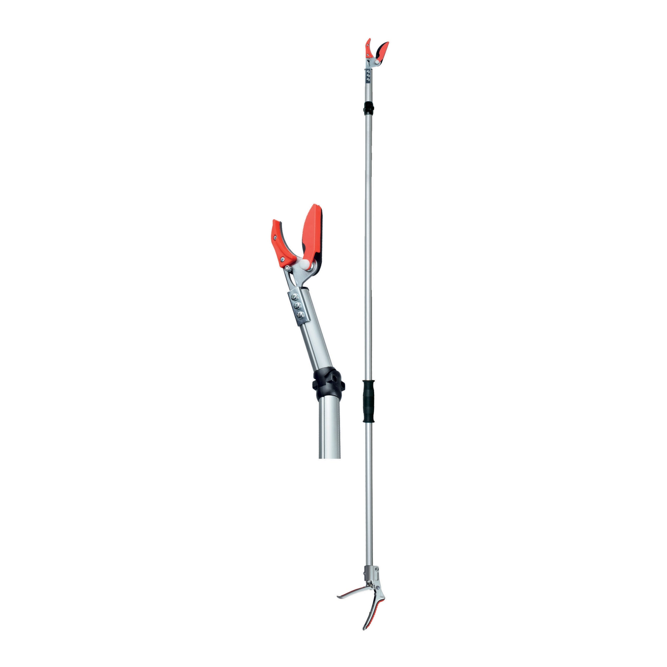 Forbice telescopica raccoglifrutta Metodo