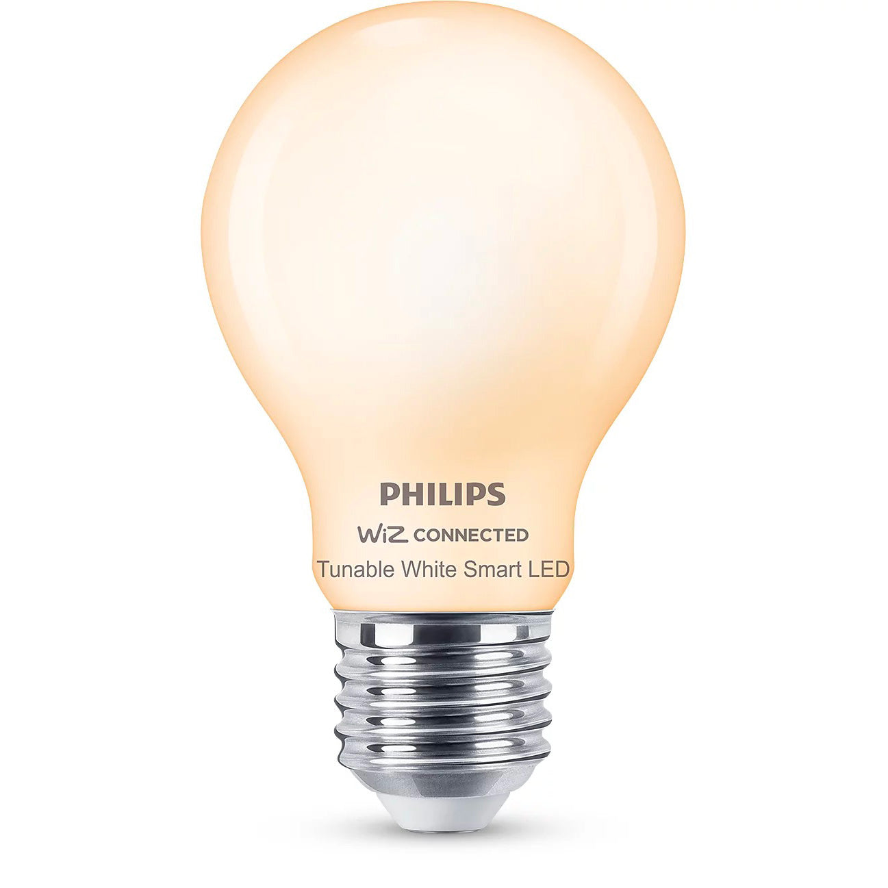 Lampadina in vetro smerigliato 60W E27 Philips
