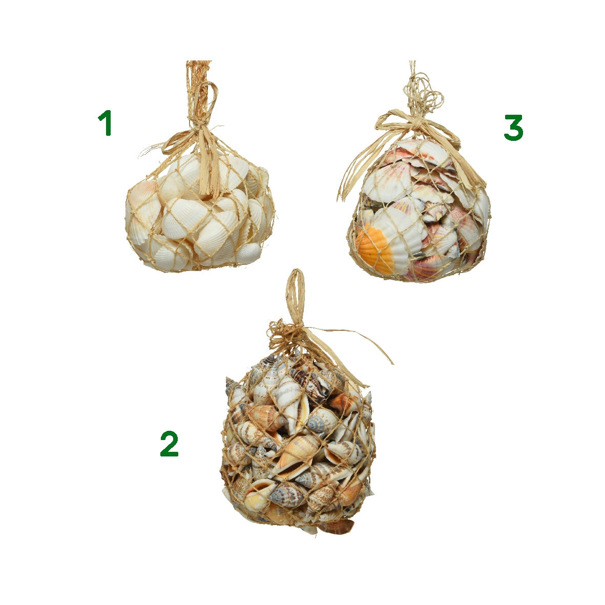 Conchiglie decorative 11x10x13 cm
