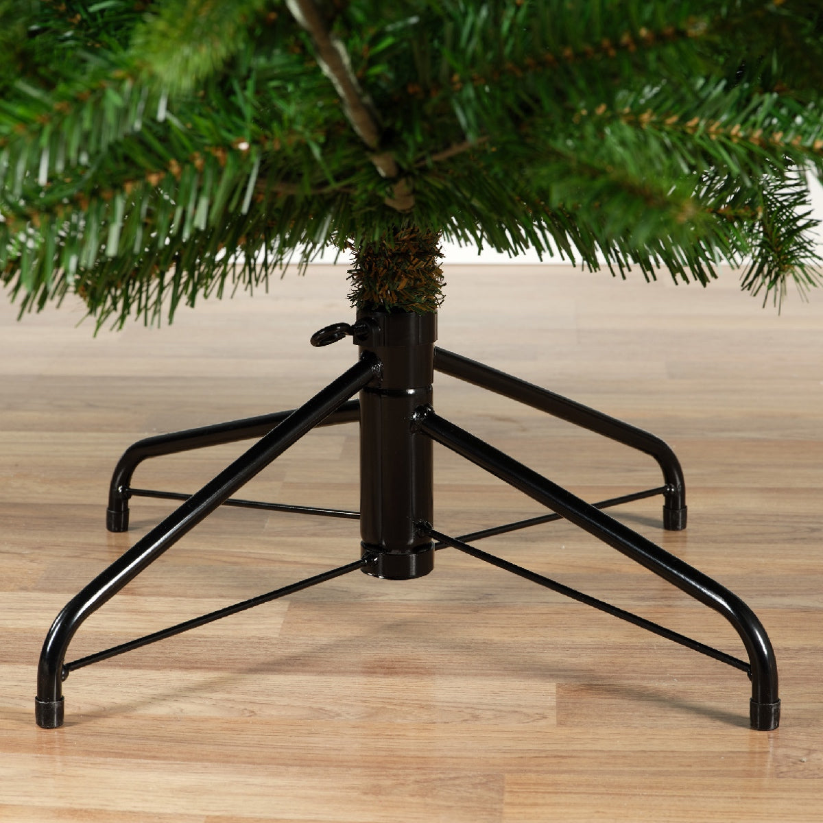 Albero di Natale Nordmann Fir Verde 4