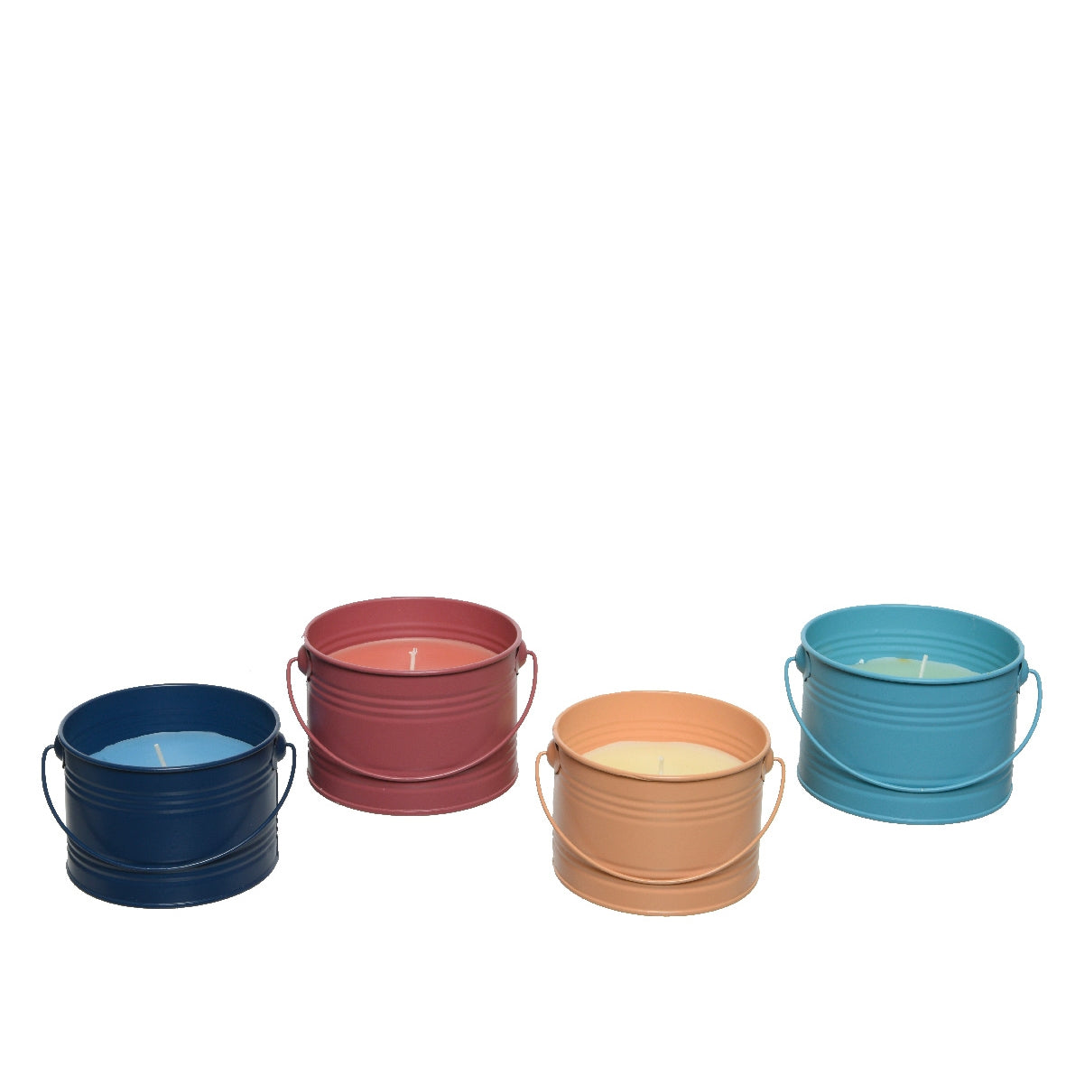 Citronella in vaso 10,5x8 cm