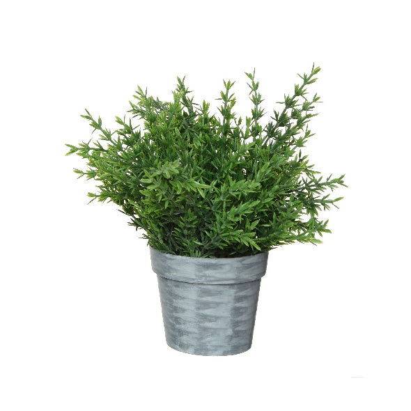 Pianta in vaso fantasia 2