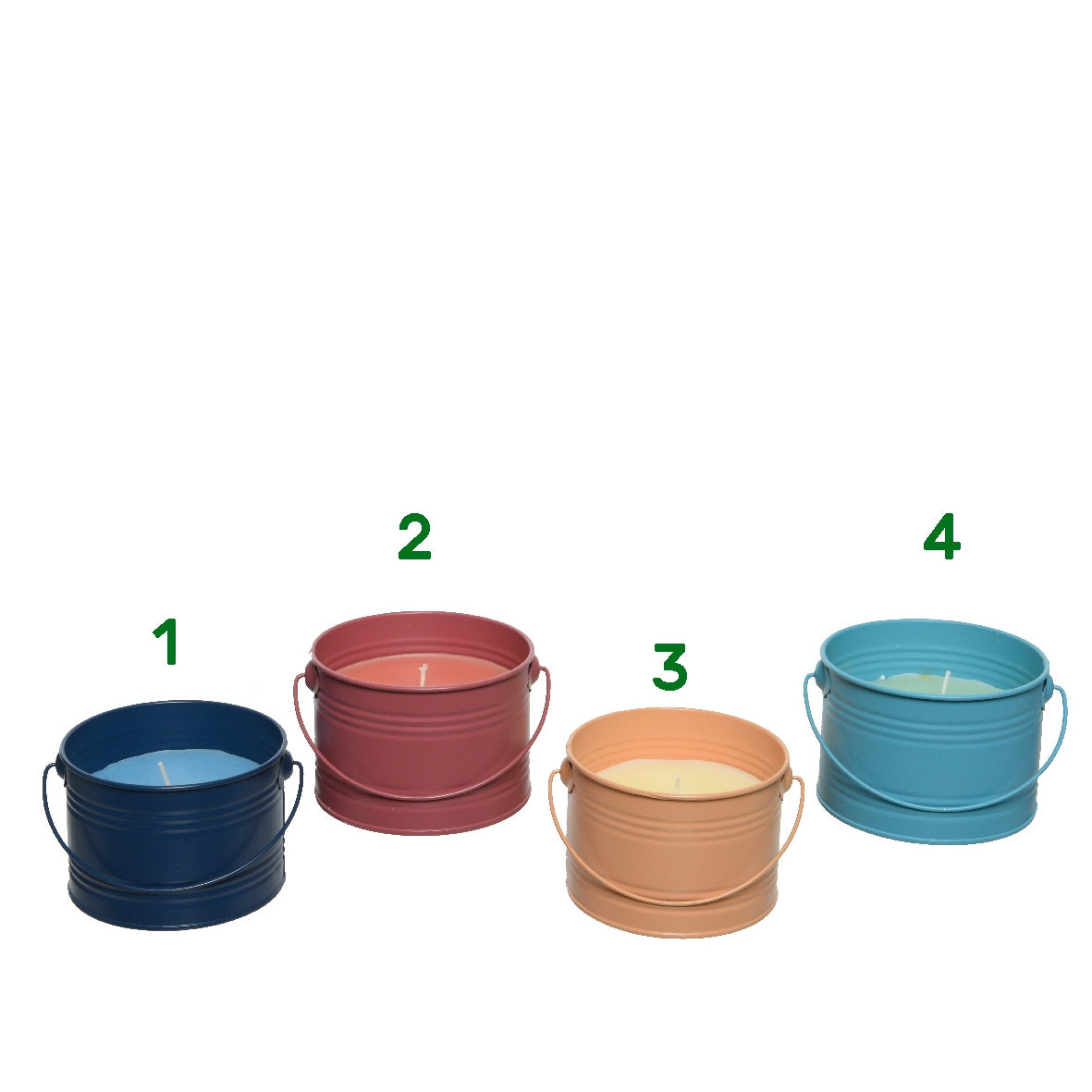 Citronella in vaso 10,5x8 cm