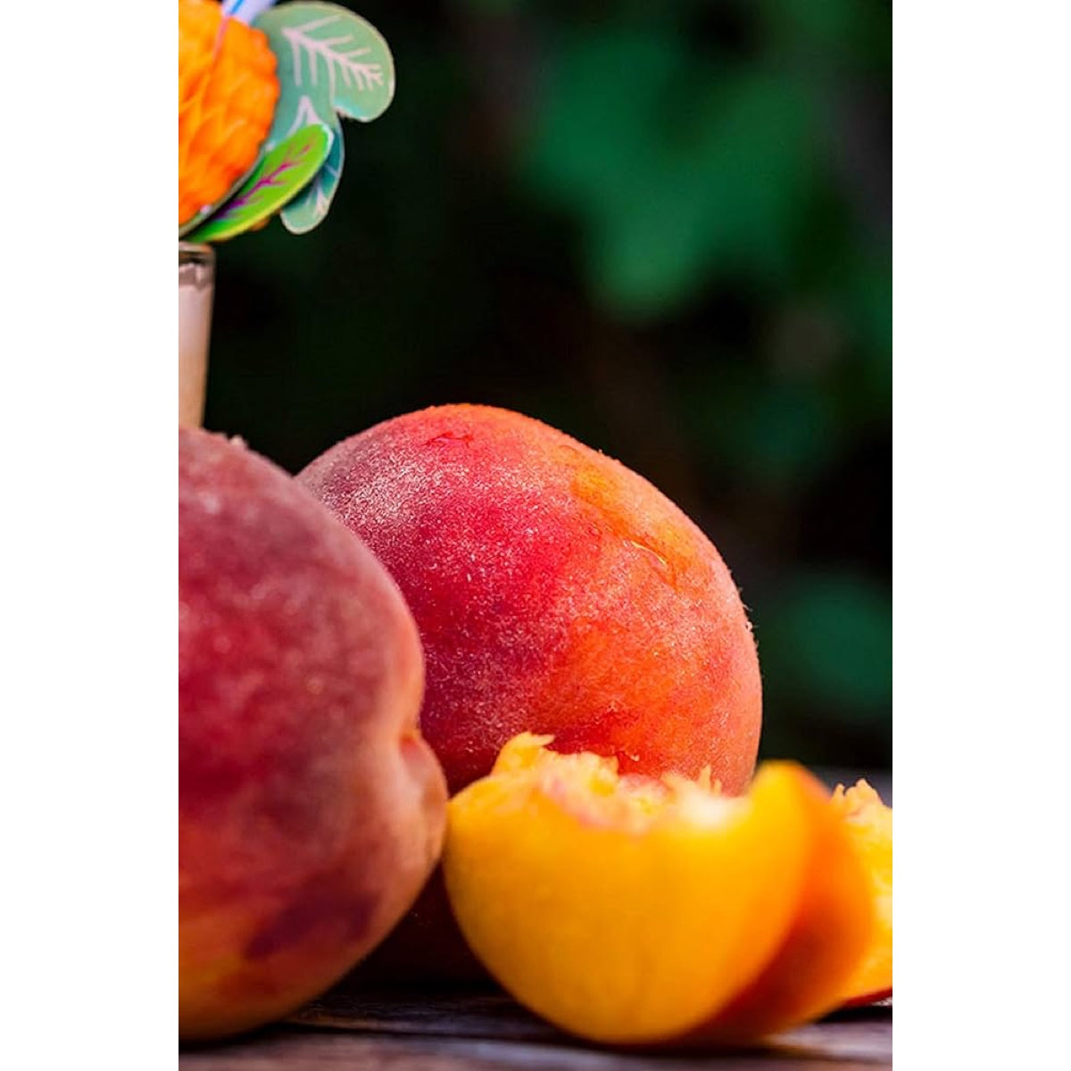 Pianta di Pesco Cardinal in Vaso