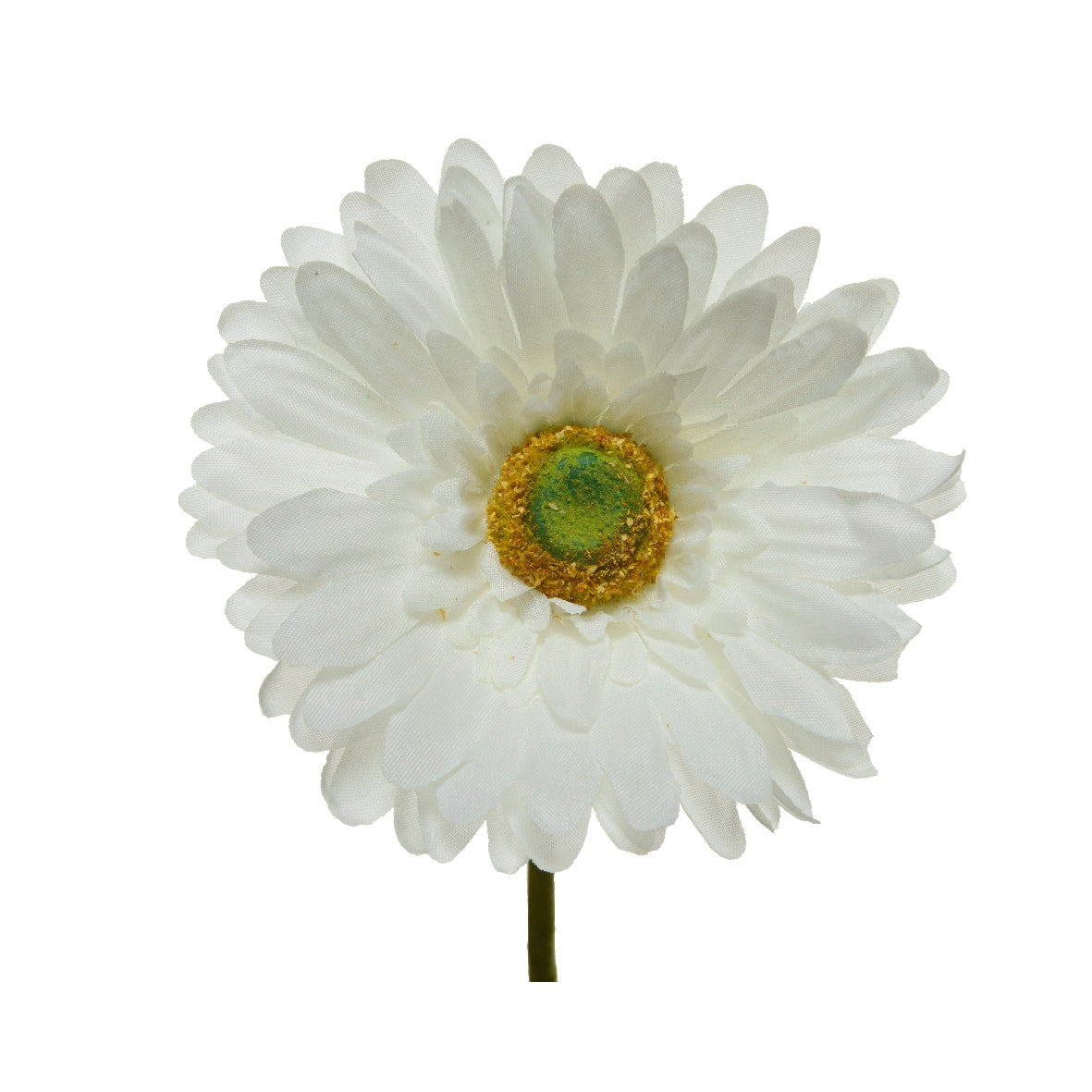 Gerbera 50 cm